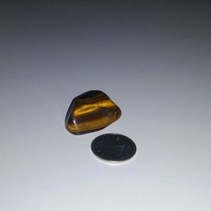 Golden Tigers Eye